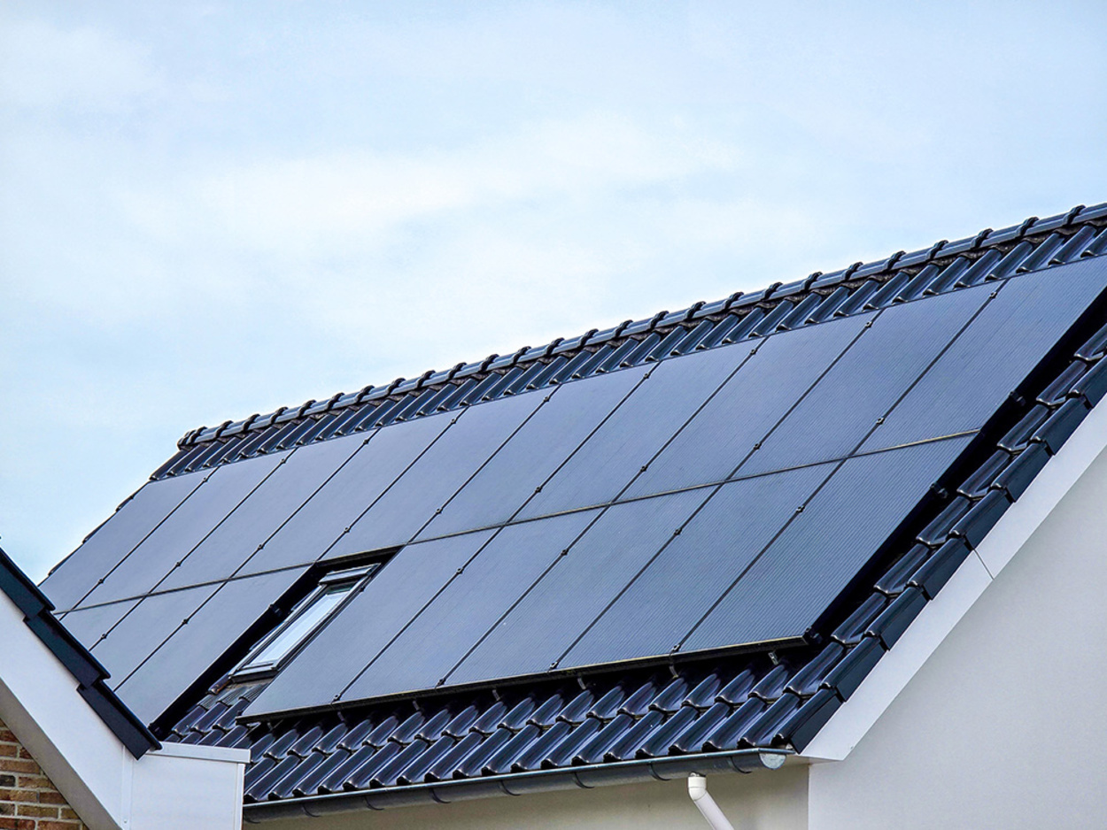 Erneuerbare Energien bei Elektro-Leps GmbH in Dessau