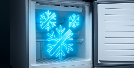 noFrost bei Elektro-Leps GmbH in Dessau
