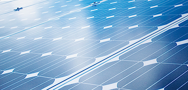 Photovoltaik bei Elektro-Leps GmbH in Dessau