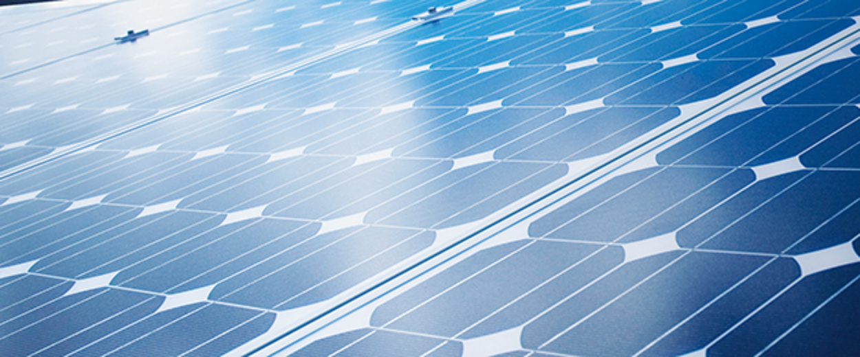 Photovoltaik bei Elektro-Leps GmbH in Dessau