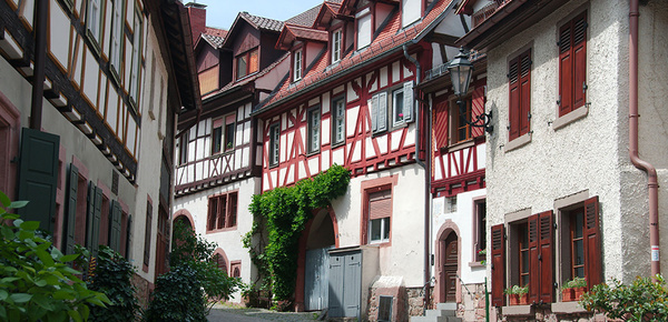 Altbau­sanierung bei Elektro-Leps GmbH in Dessau